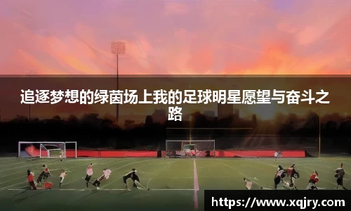 追逐梦想的绿茵场上我的足球明星愿望与奋斗之路